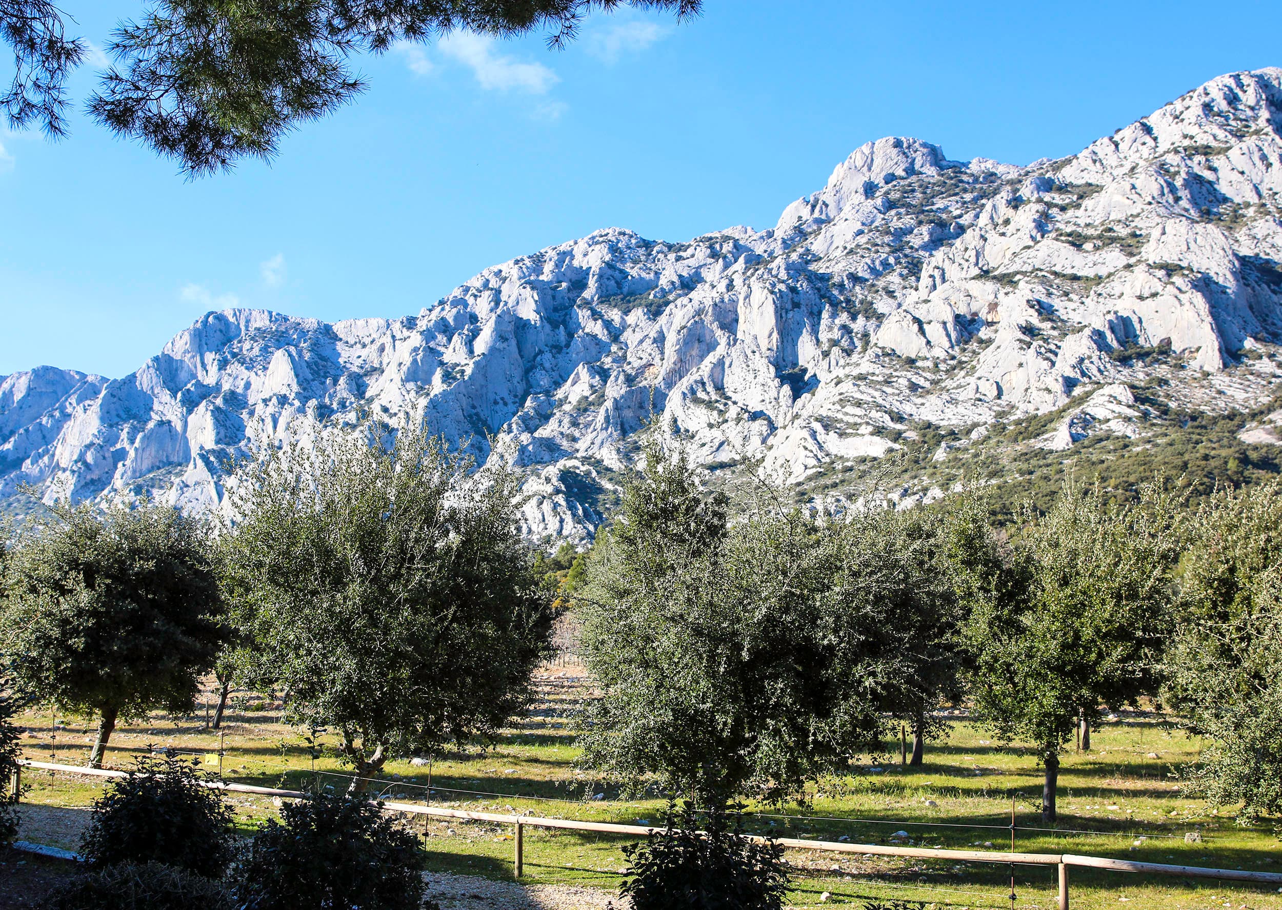 Aix-en-Provence & Mont Sainte Victoire in search of Cézanne, discover the unique vineyards of the Provençal landscape