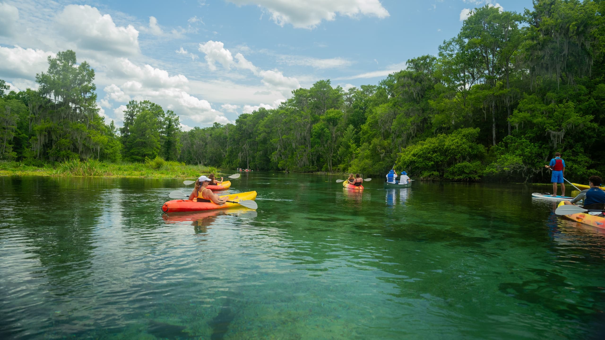 Paddle Ichetucknee