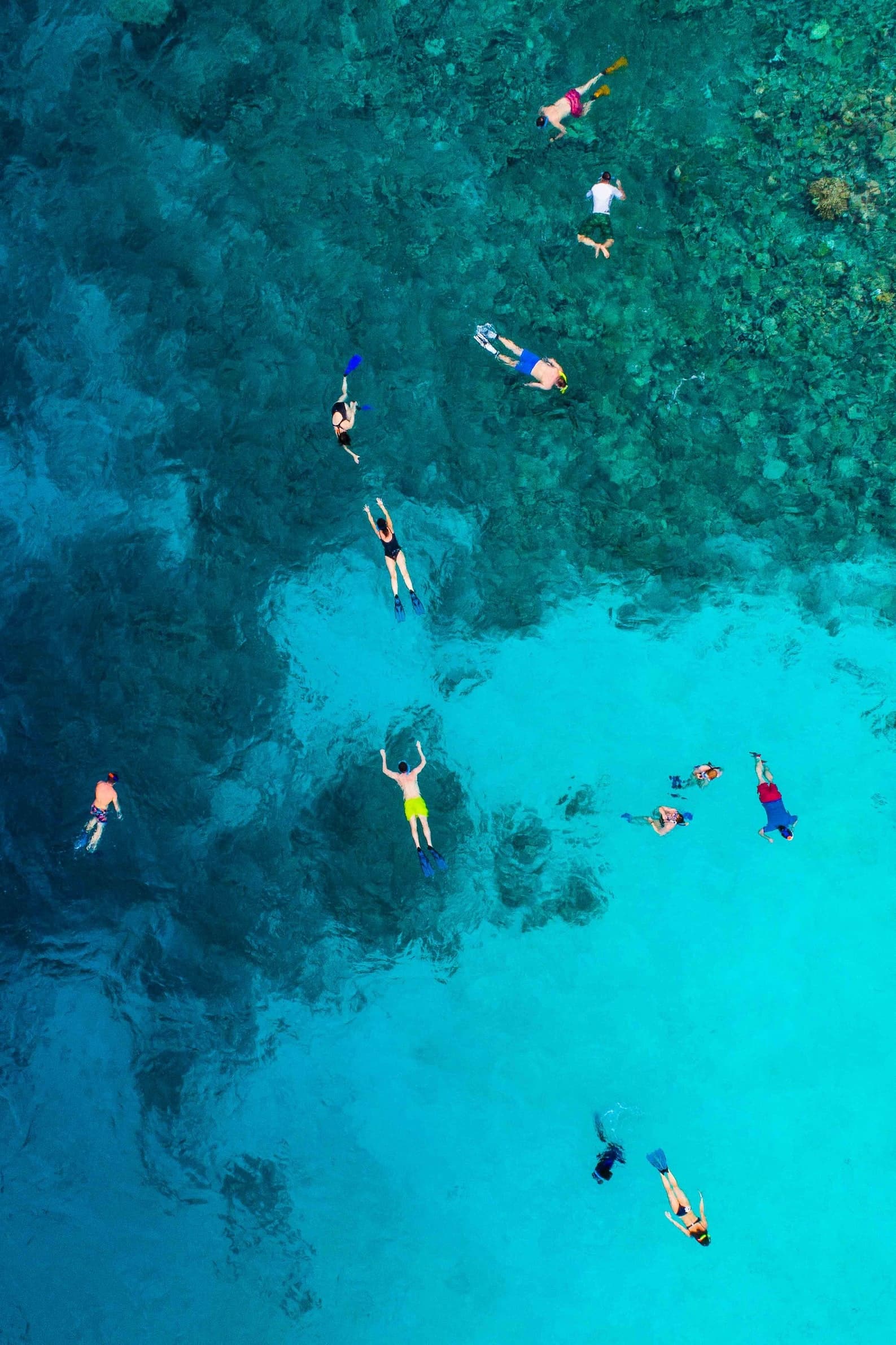 Snorkel Eco Trip