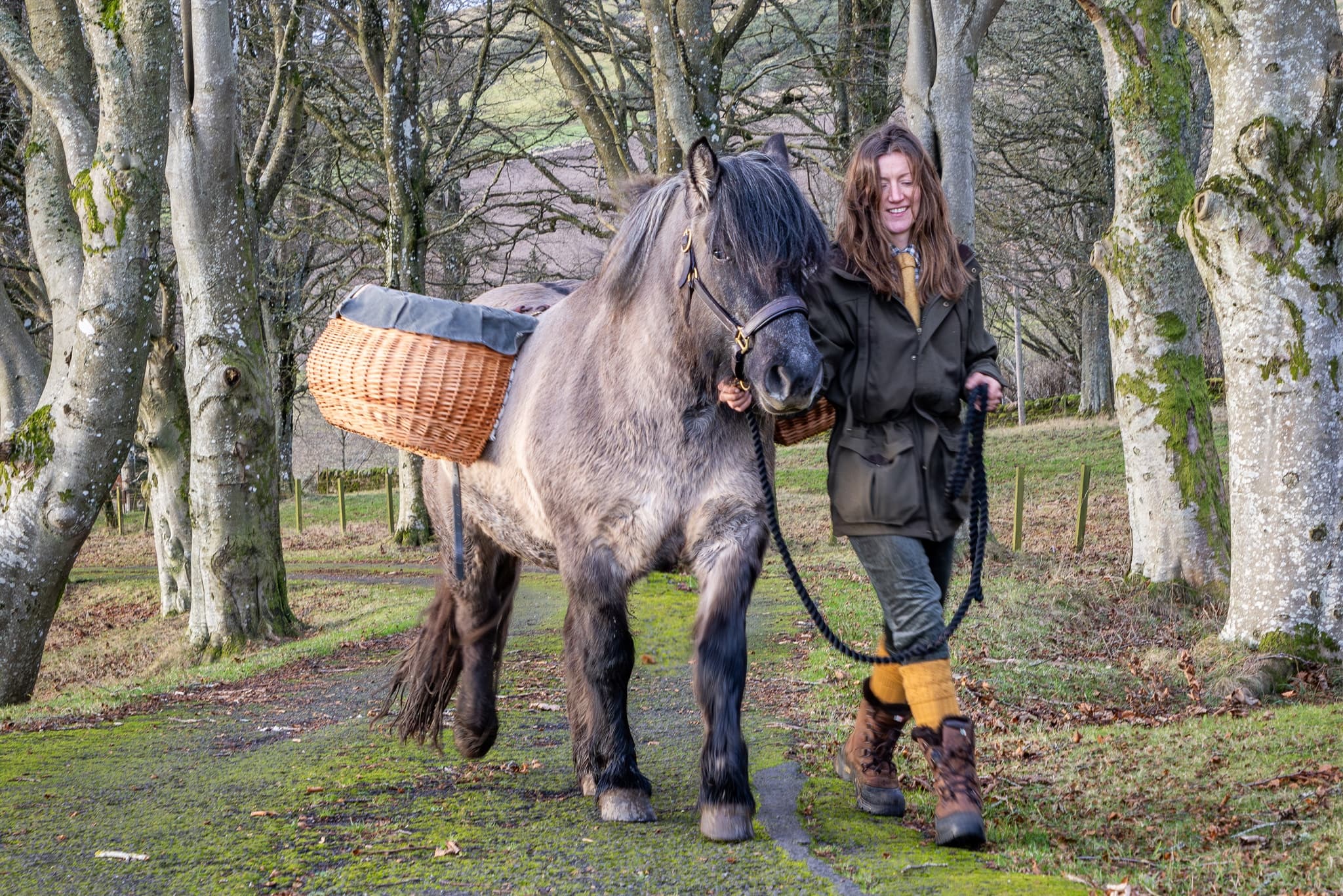 Pony Walk and Picnic