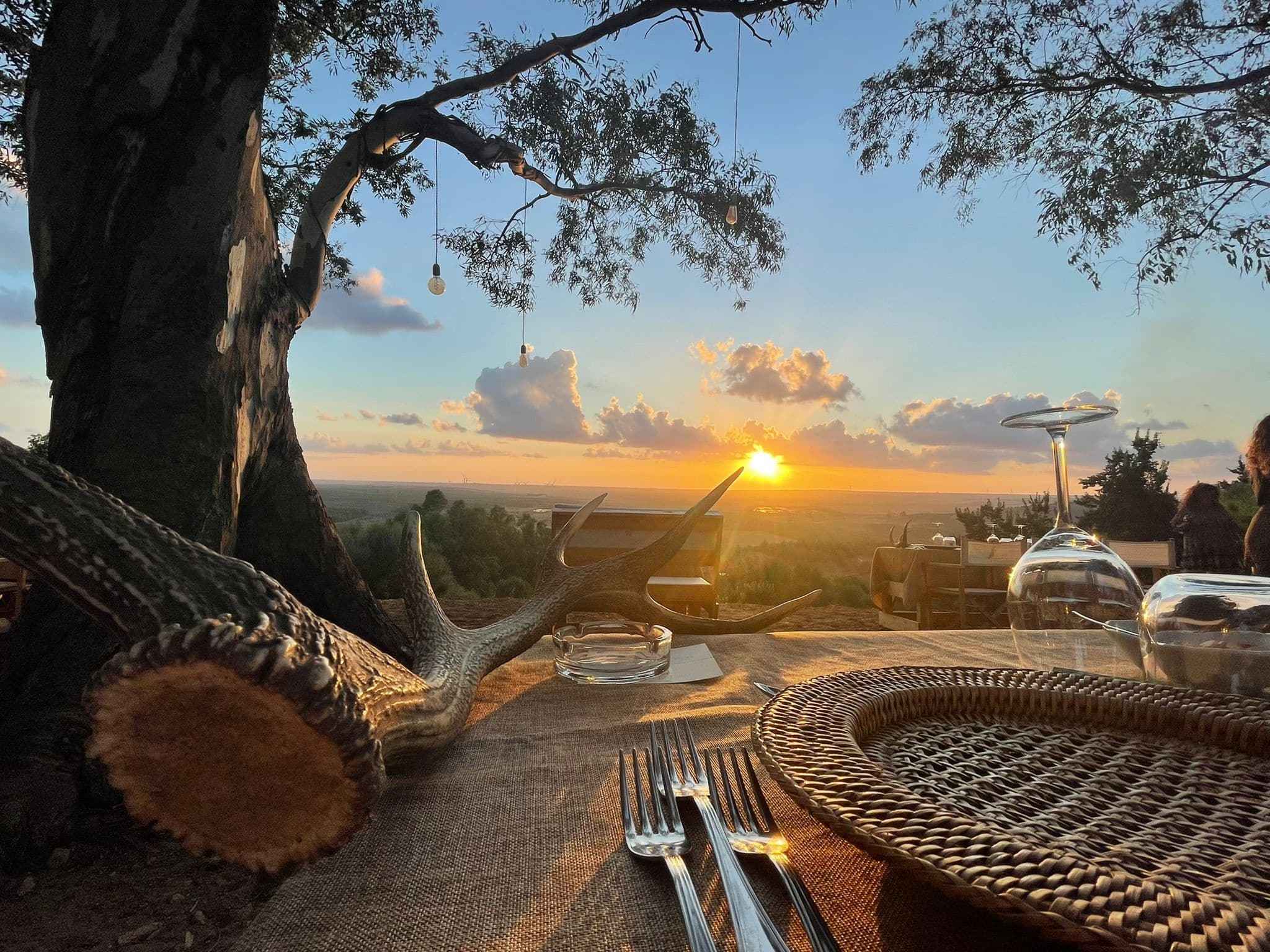 Safari e Cena
