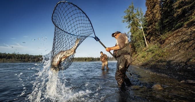 Full Day Kasilof Silver Salmon Fishing