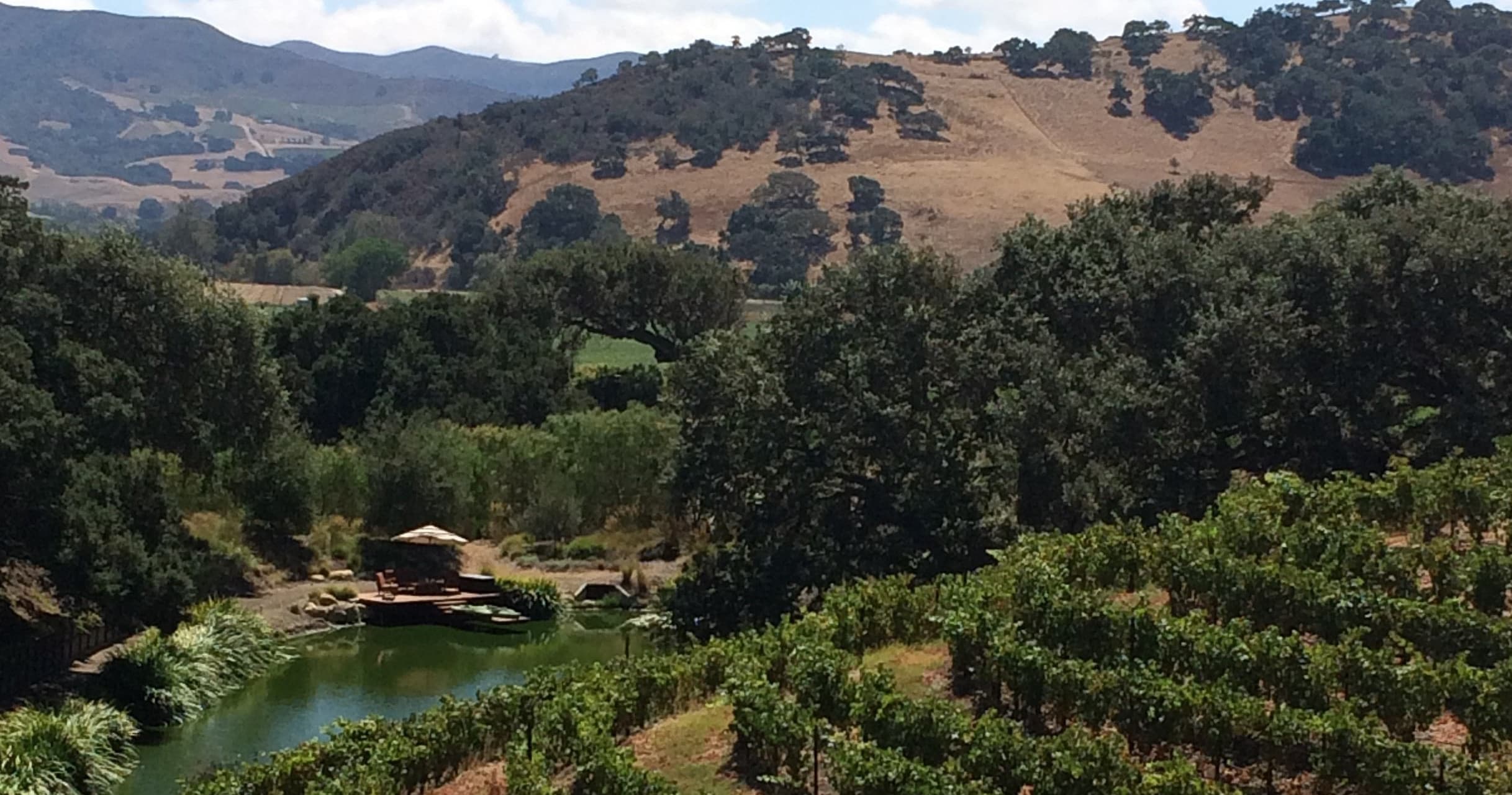 Private Customized Wine Tour All Inclusive" Package"