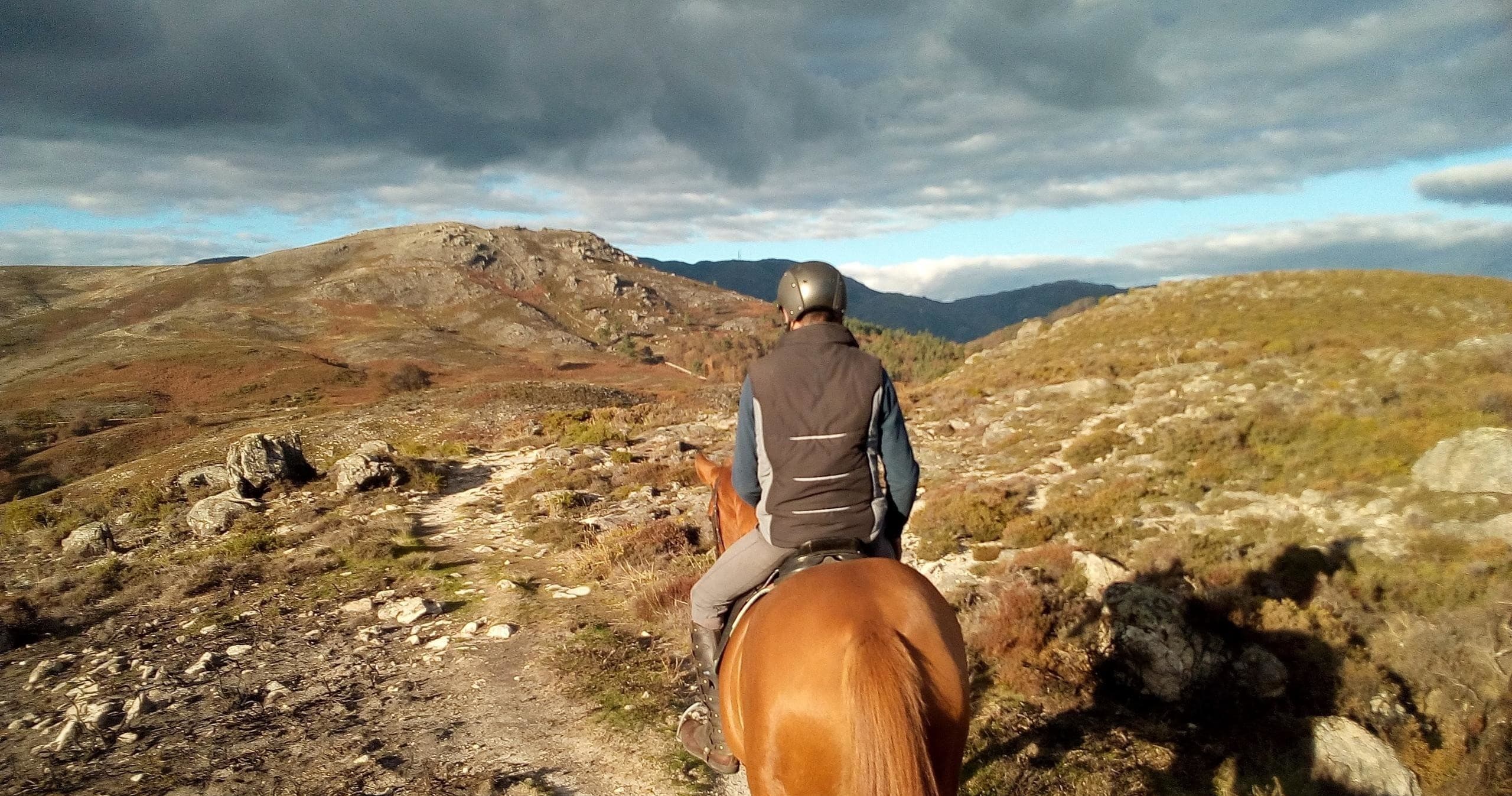 Horseback Riding