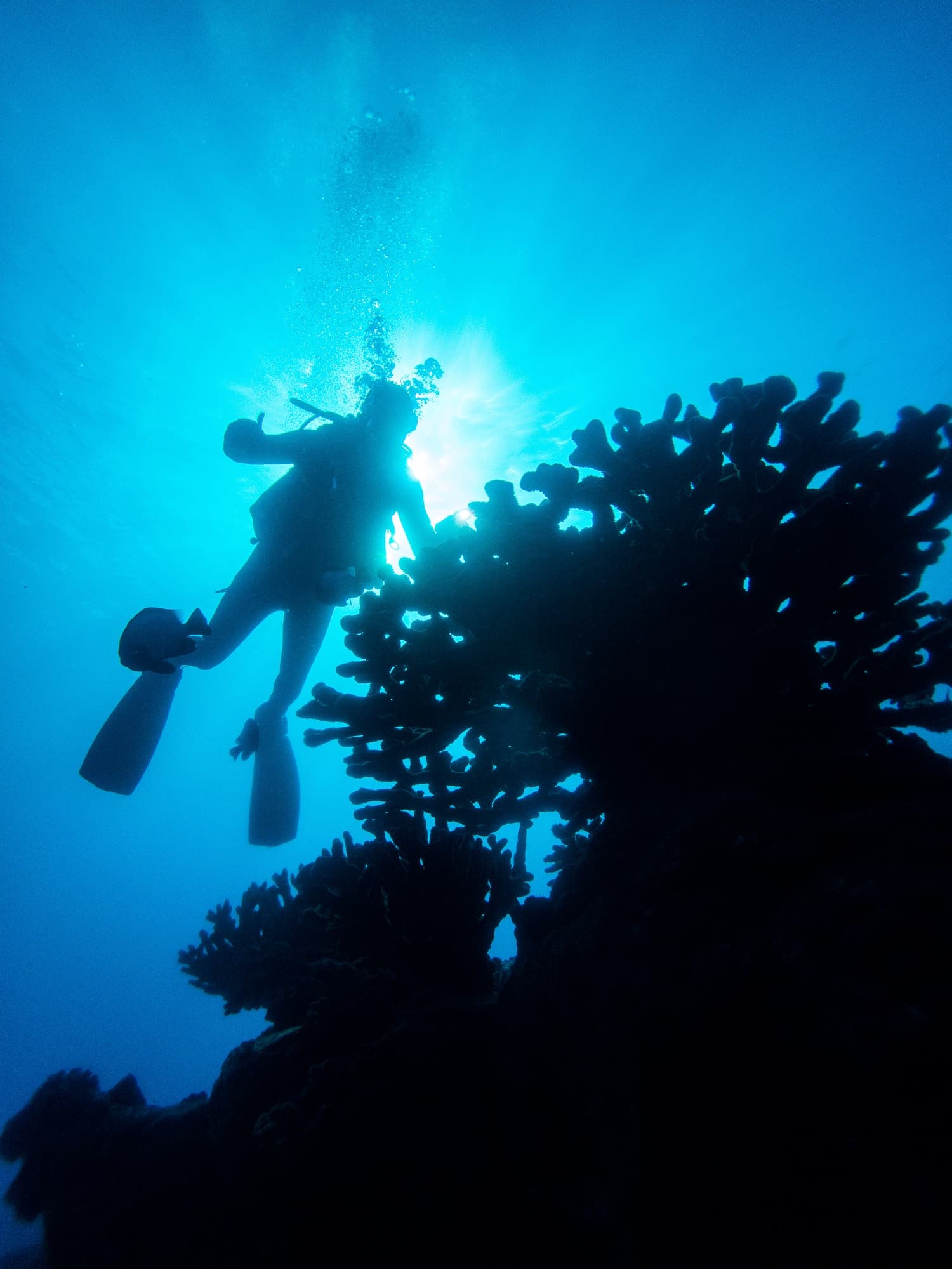 Nii hau 3-Tank Boat Dive