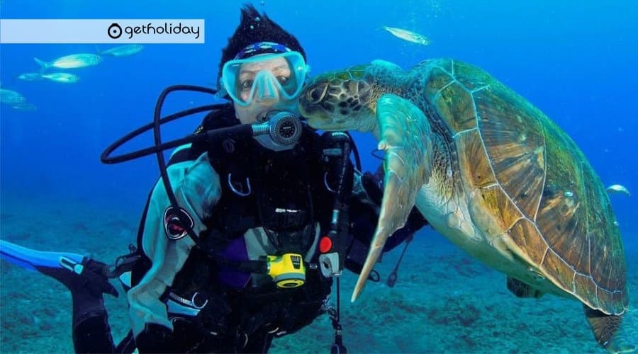 Bautizo De Buceo En Tenerife