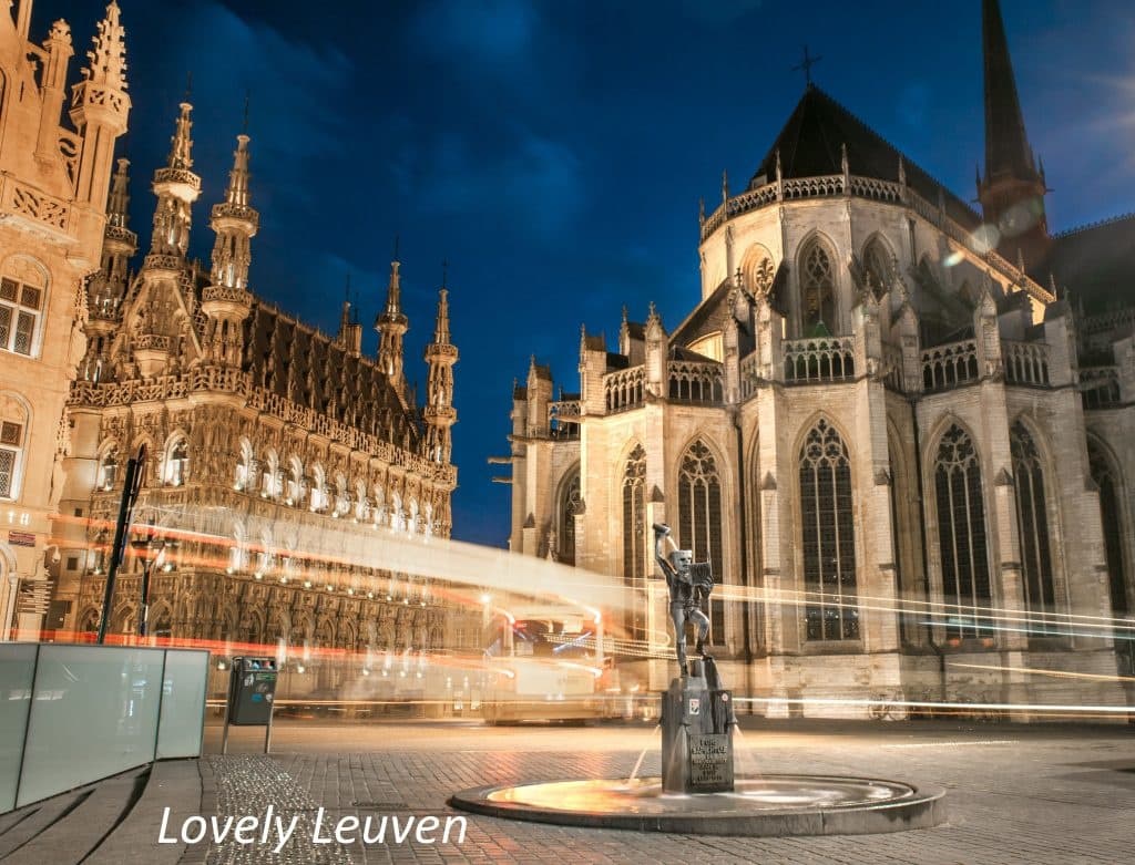 Lovely Leuven Highlights BikeTour