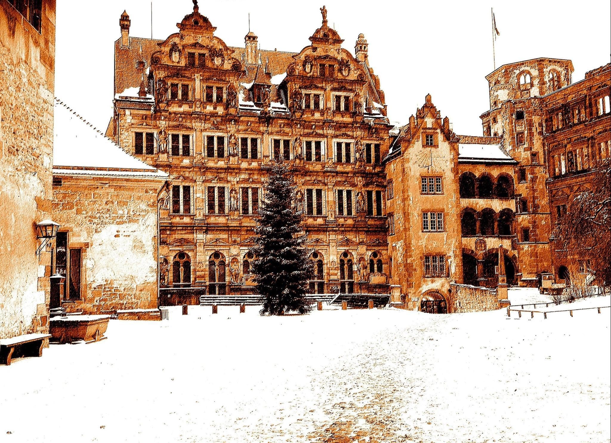 Luxury Tour of Heidelberg