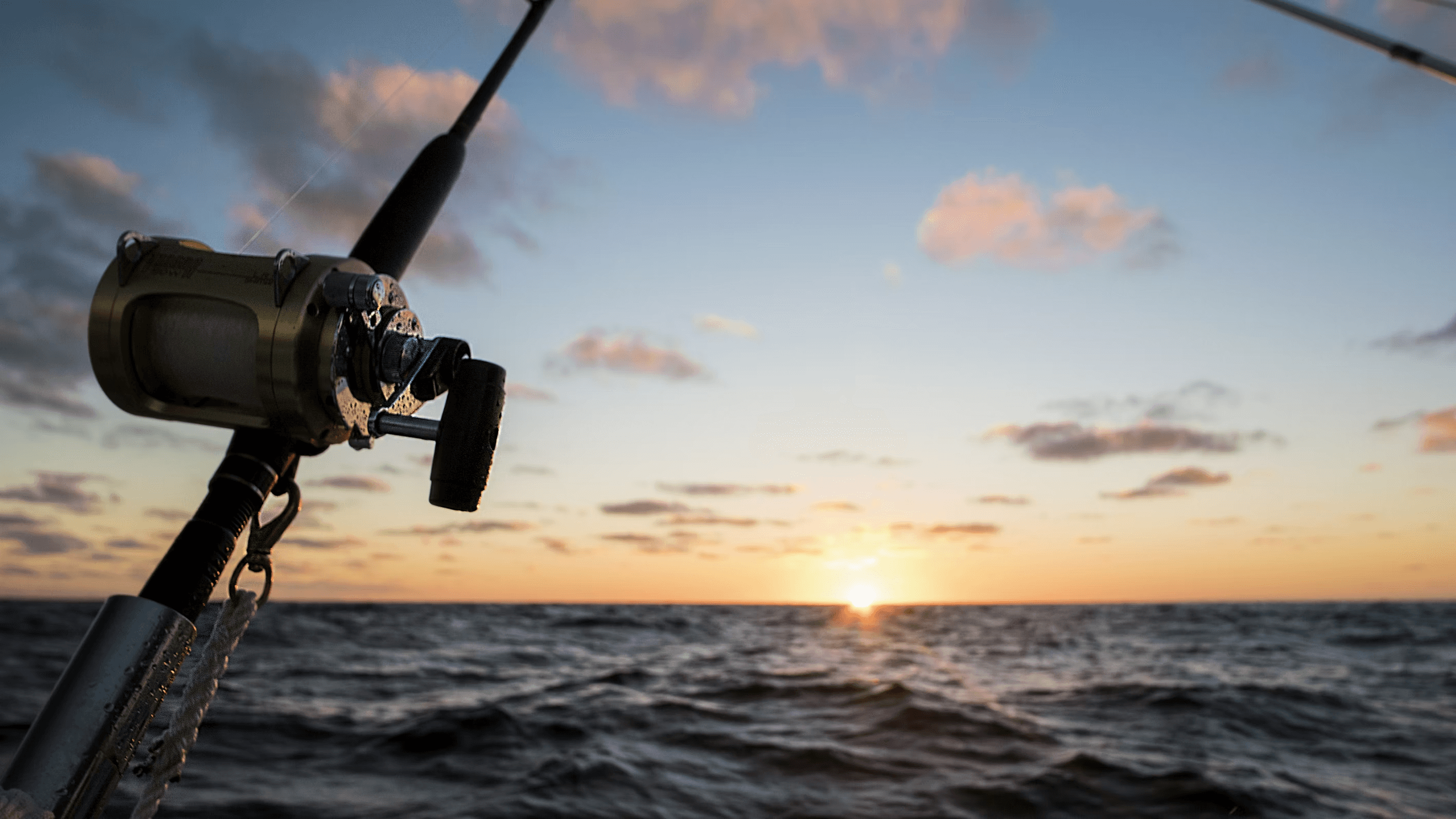 Eight Hour Add-on Rentals