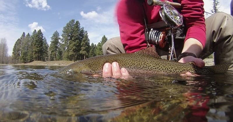 Guided Fishing Trip