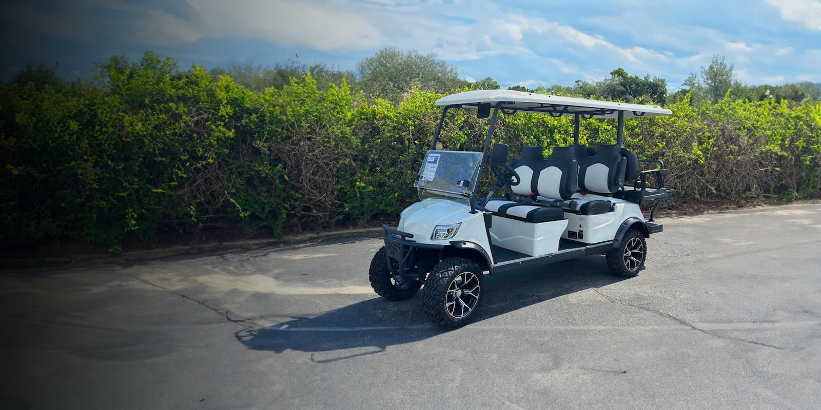 Five Day Golf Cart Rentals