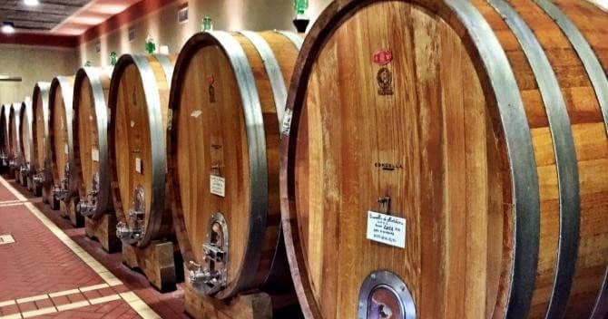 Degustazione di base e tour della cantina
