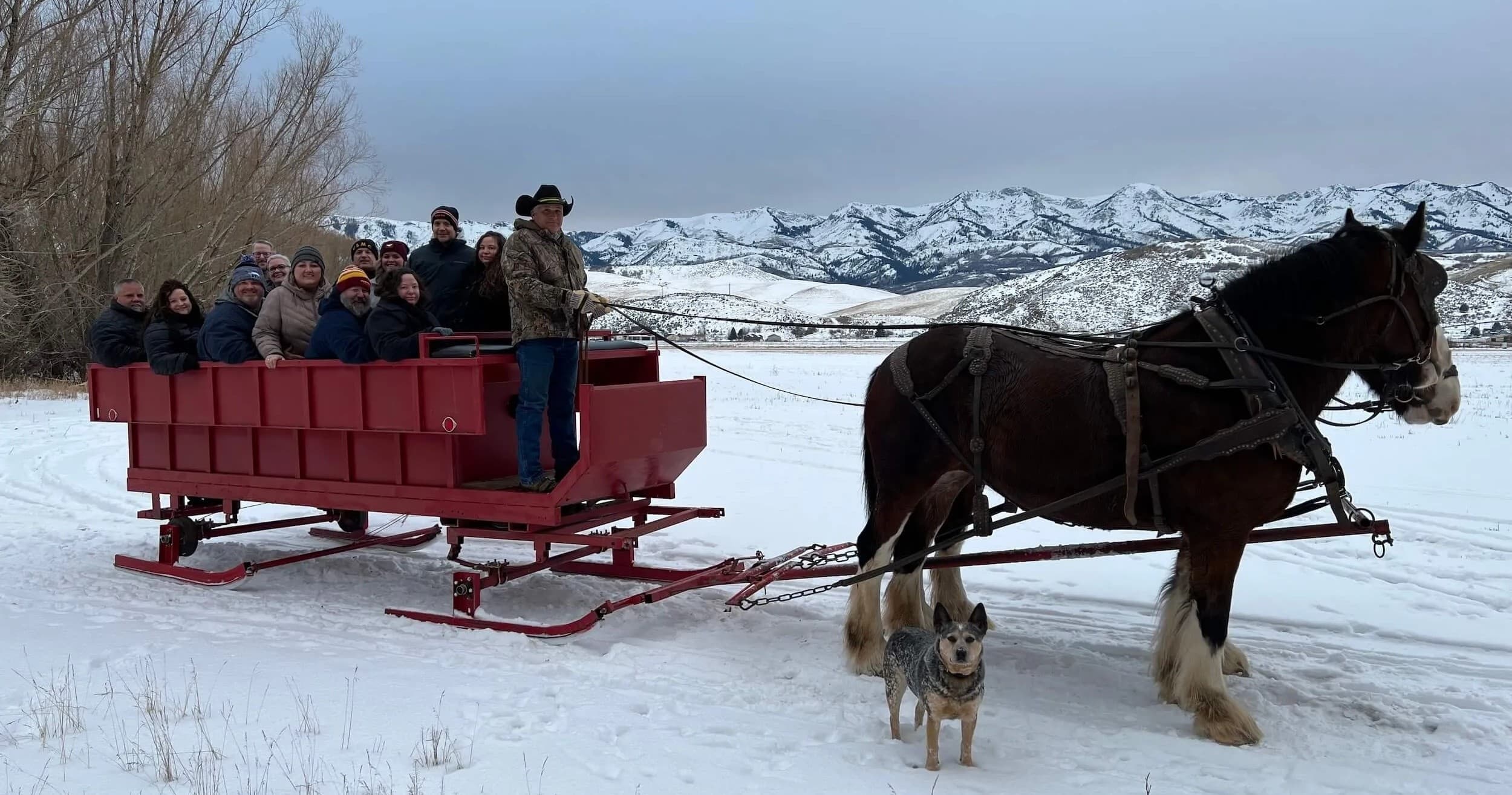 Sleigh and Wagon Rides