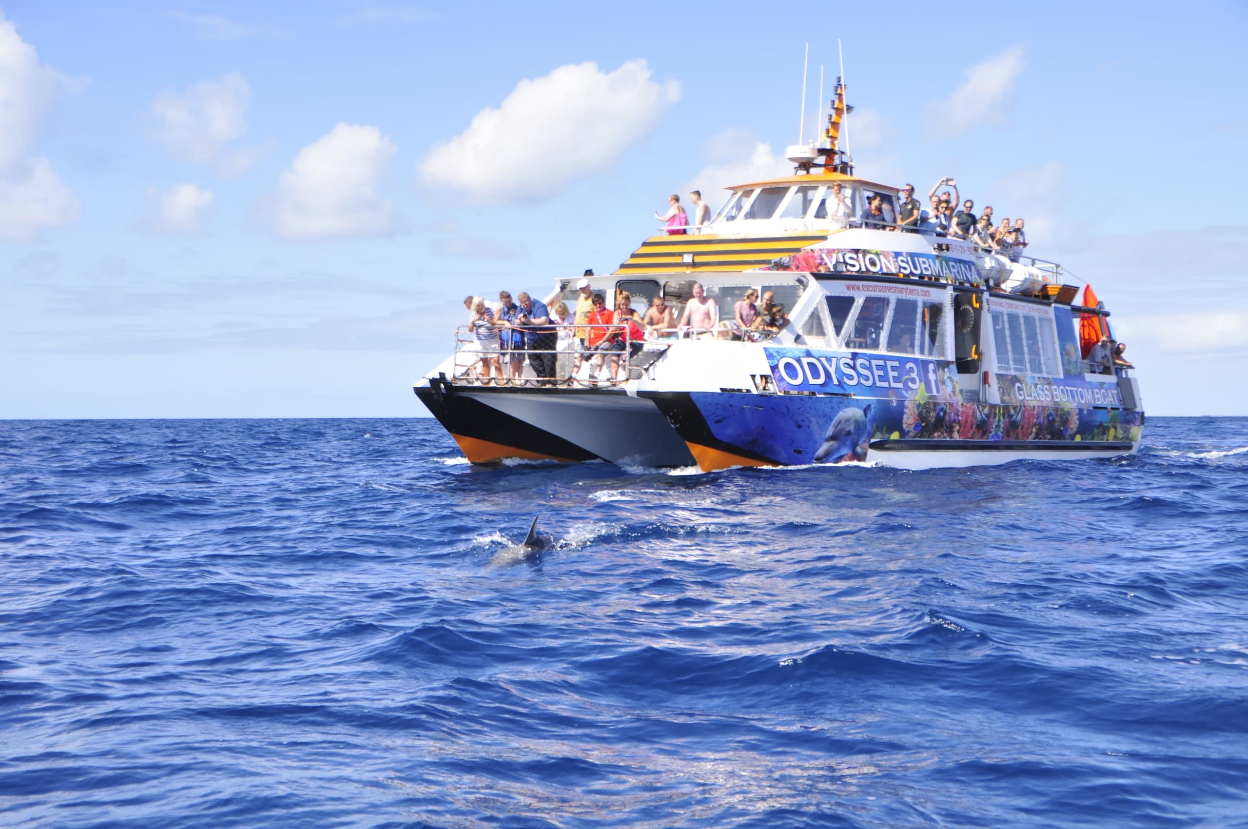 Tour a bordo del catamarán Odyssee 3 por la costa de Fuerteventura