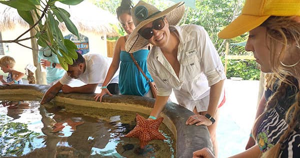 Aquarium Encounters Day Tour