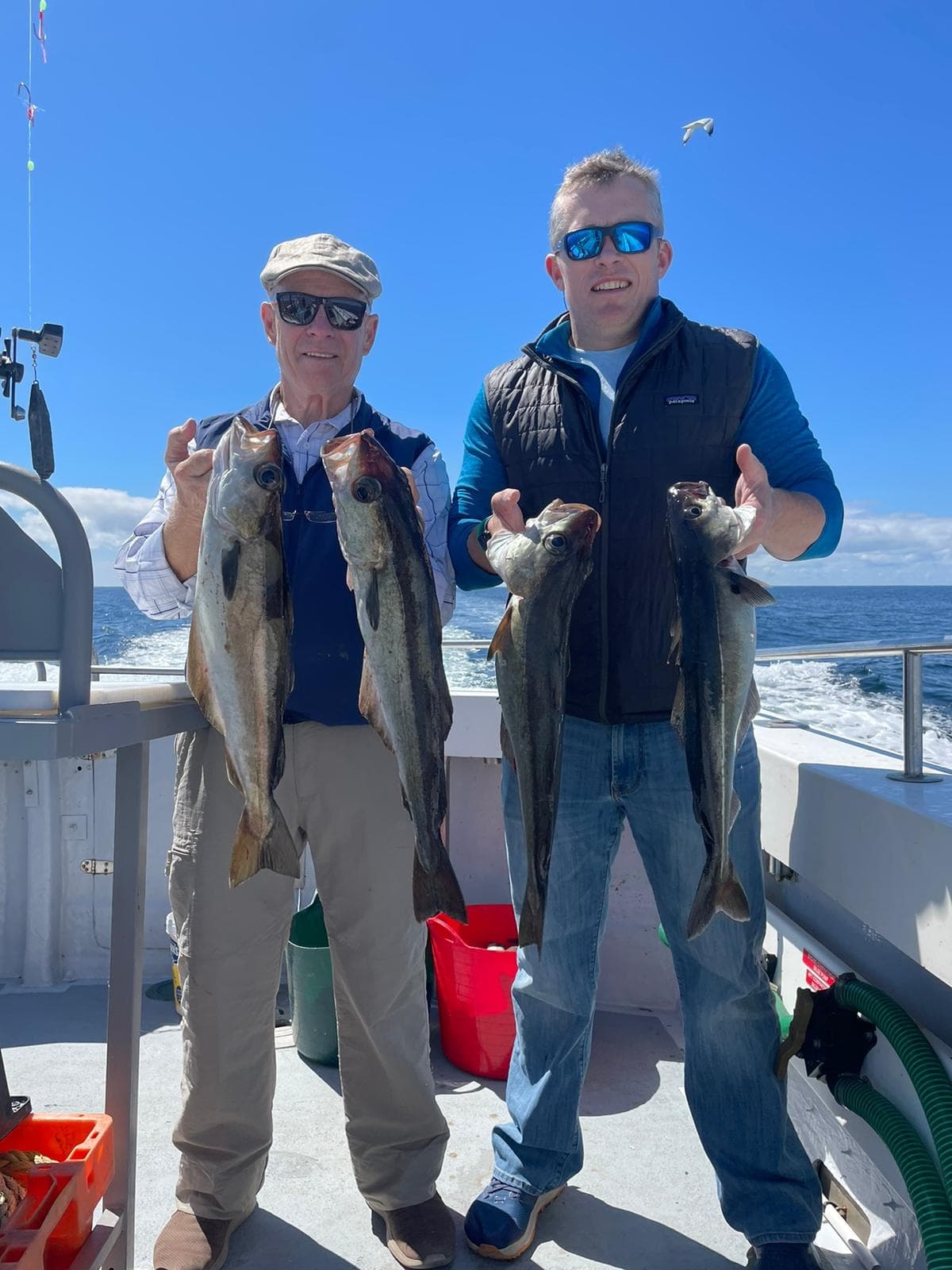 Half Day Fishing