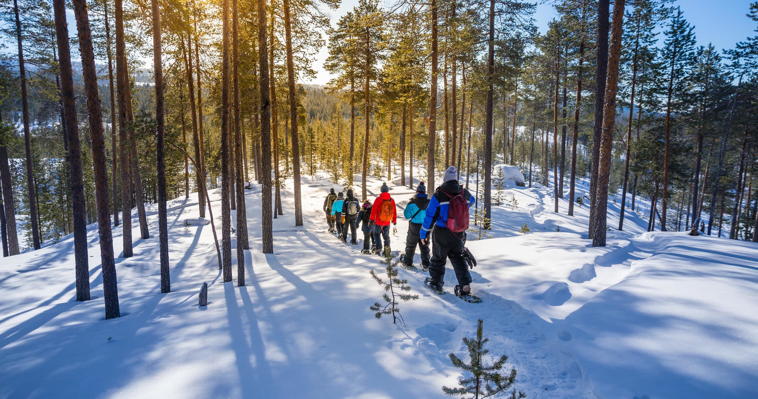 Snowshoeing Adventure