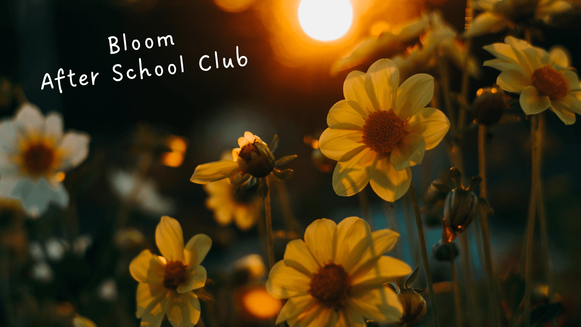 Bloom After School Club