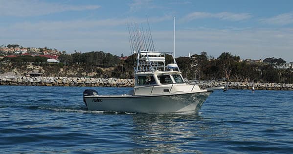 Twilight Fishing Charter