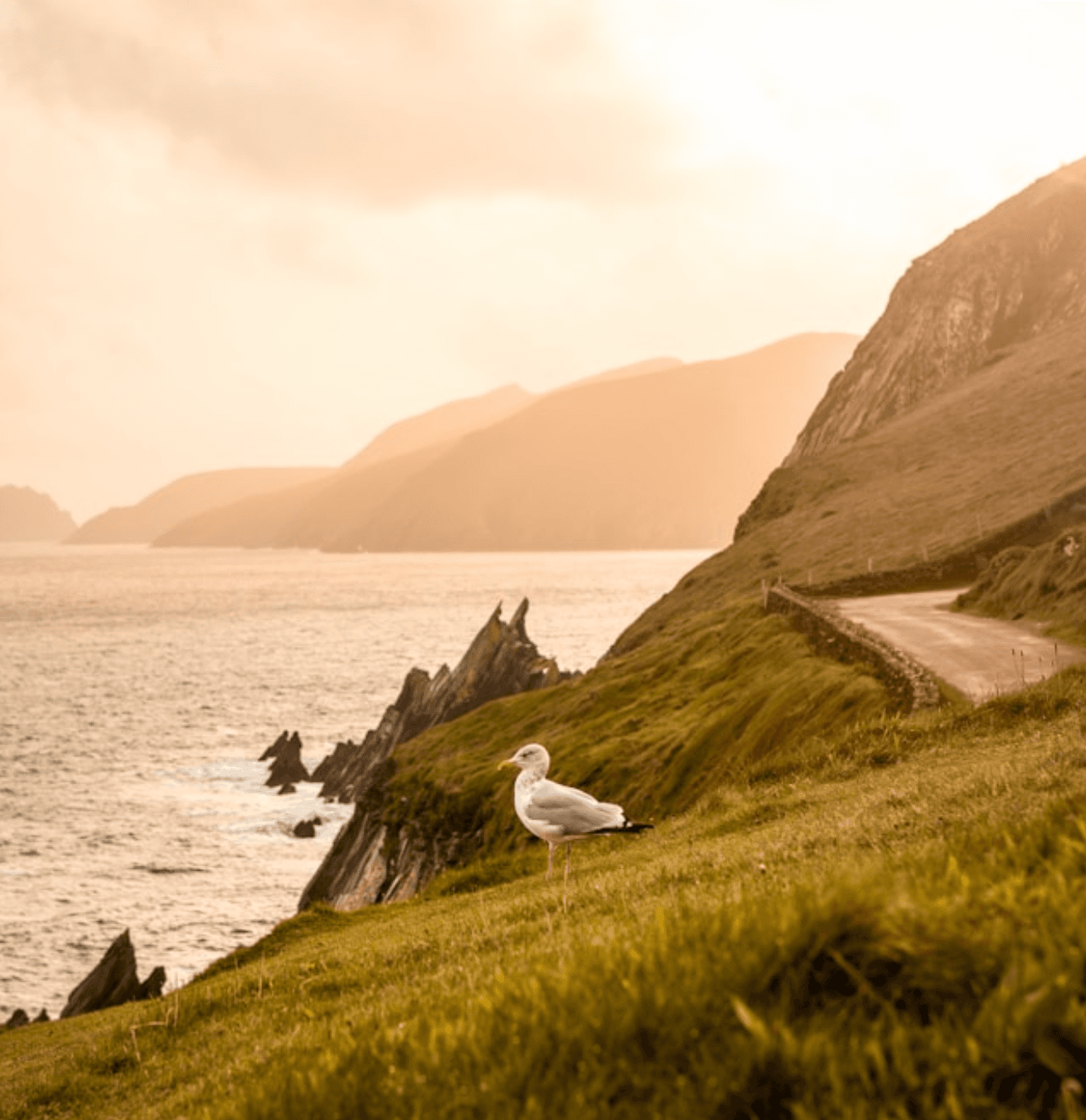 Witness Kylemore Abbey and Connemara