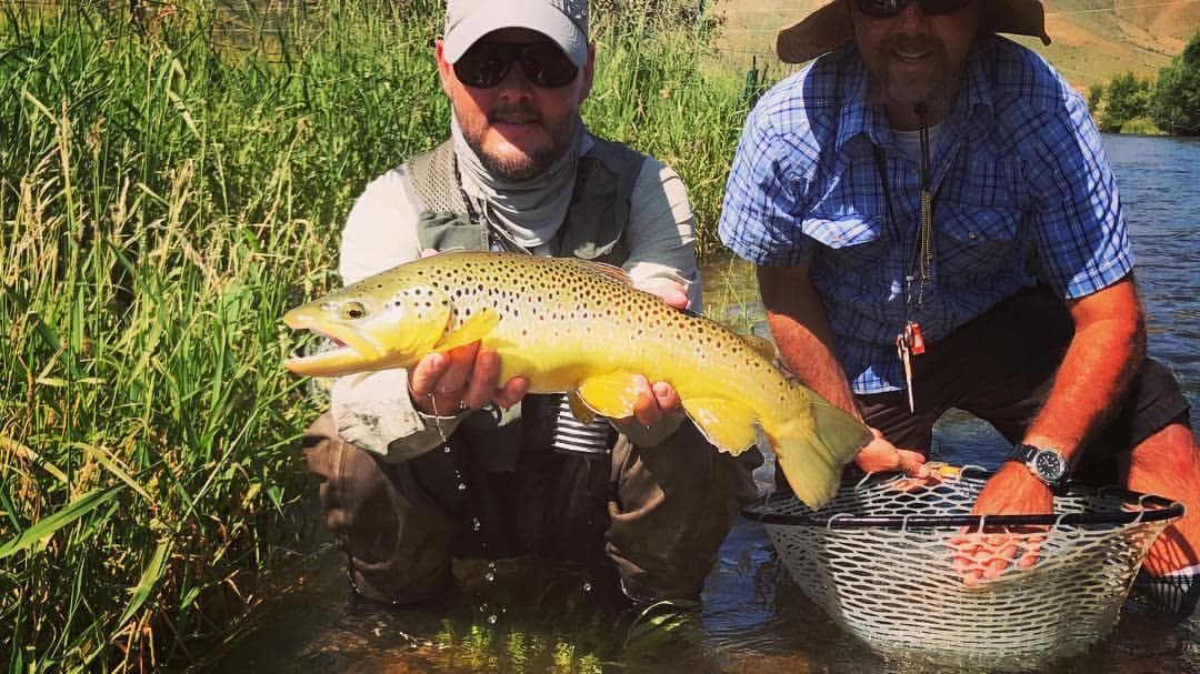 Remote Stream: Wade Trip