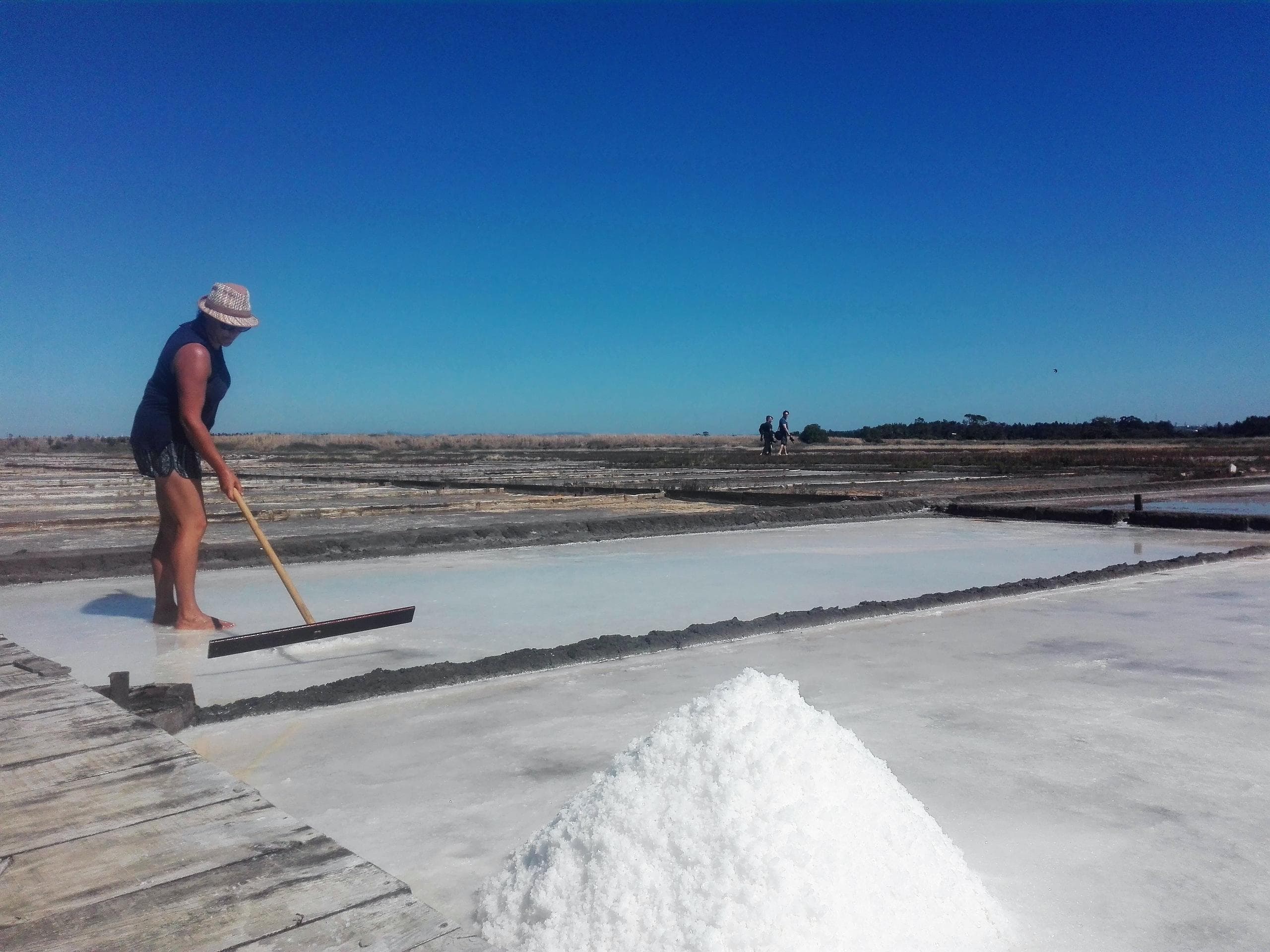 Figueira da Foz, by rice paddies & saline pans, half day from Coimbra