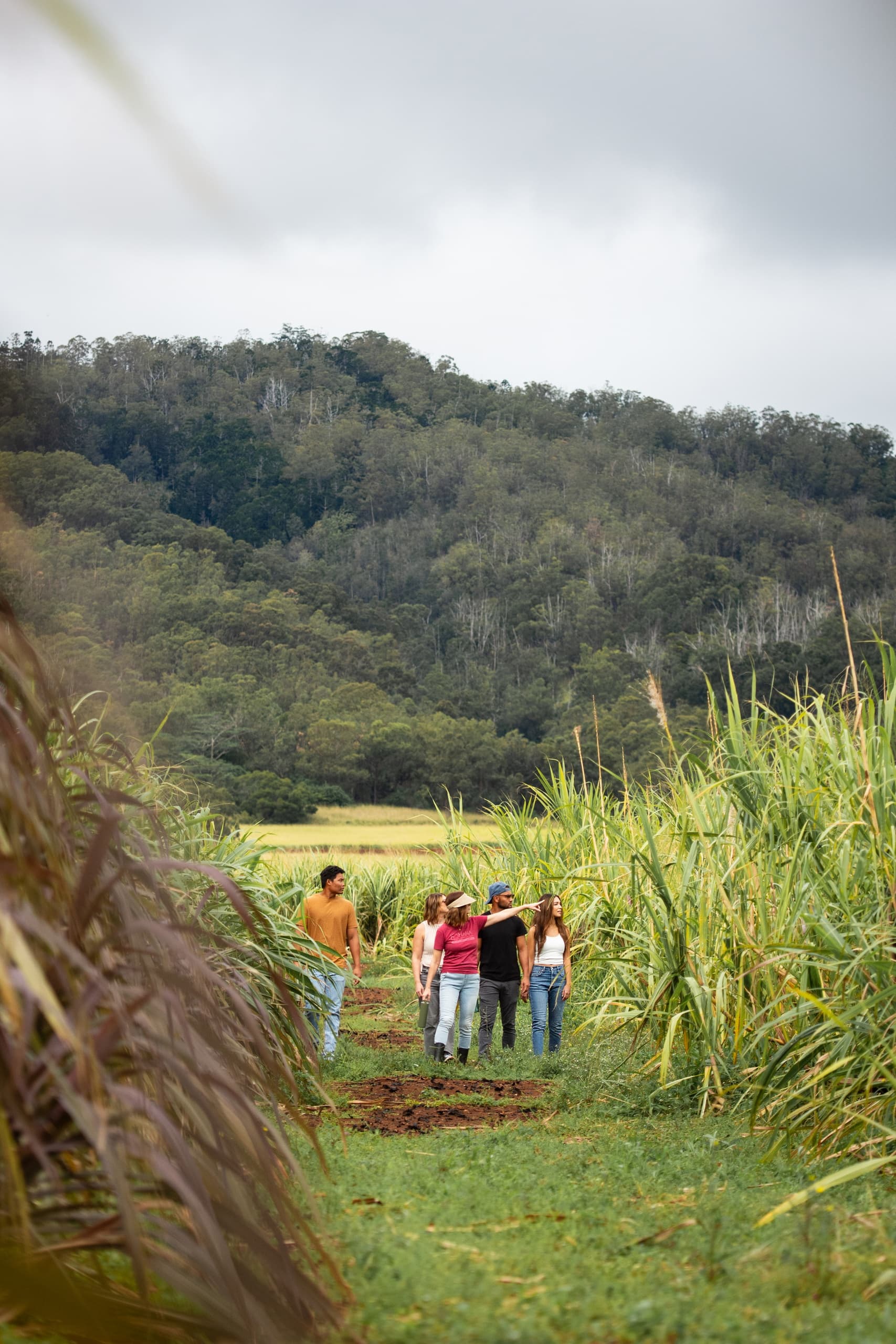 Estate Farm Tour with Tasting