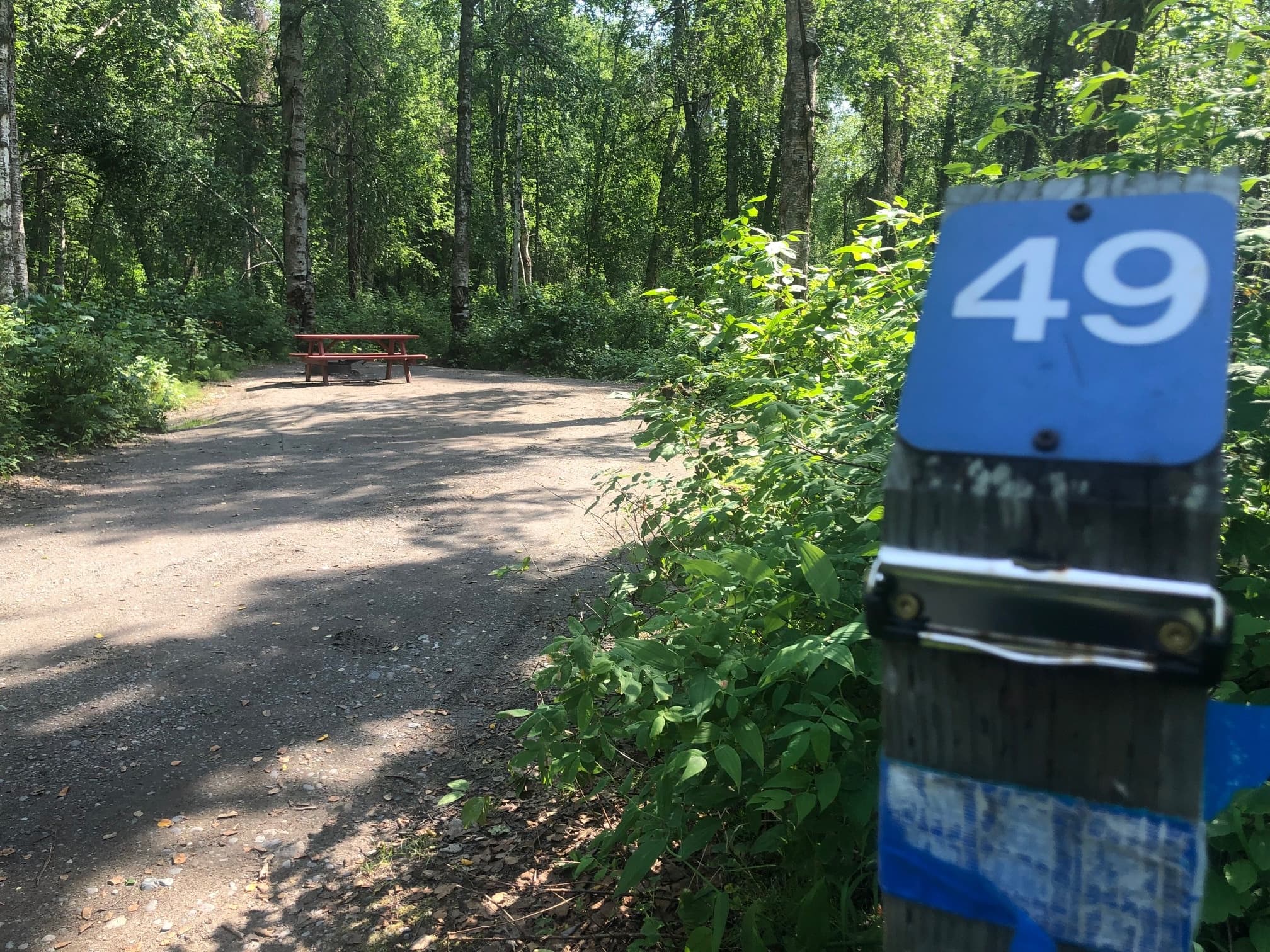 Camp Site 49