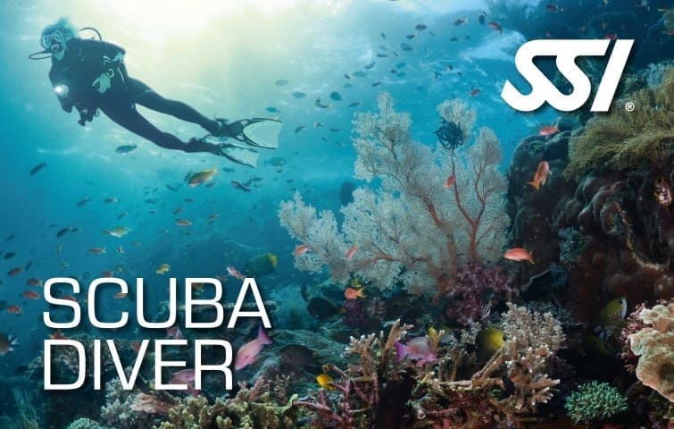 COURSE - SSI SCUBA DIVER