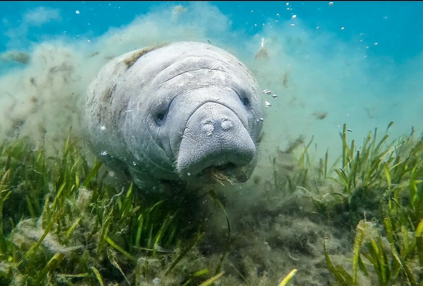 Private Snorkel Tour