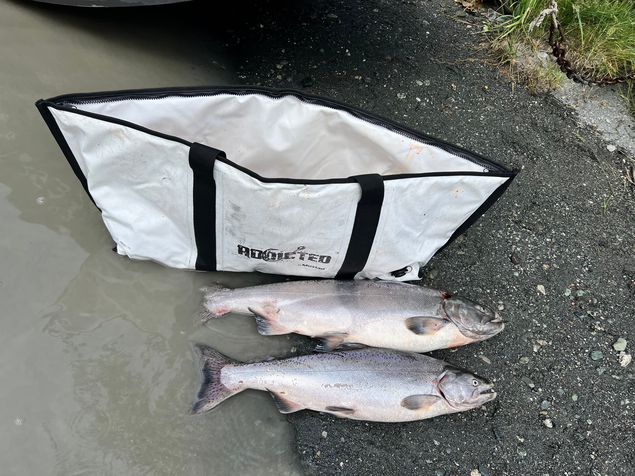 Kasilof River King Salmon Fishing