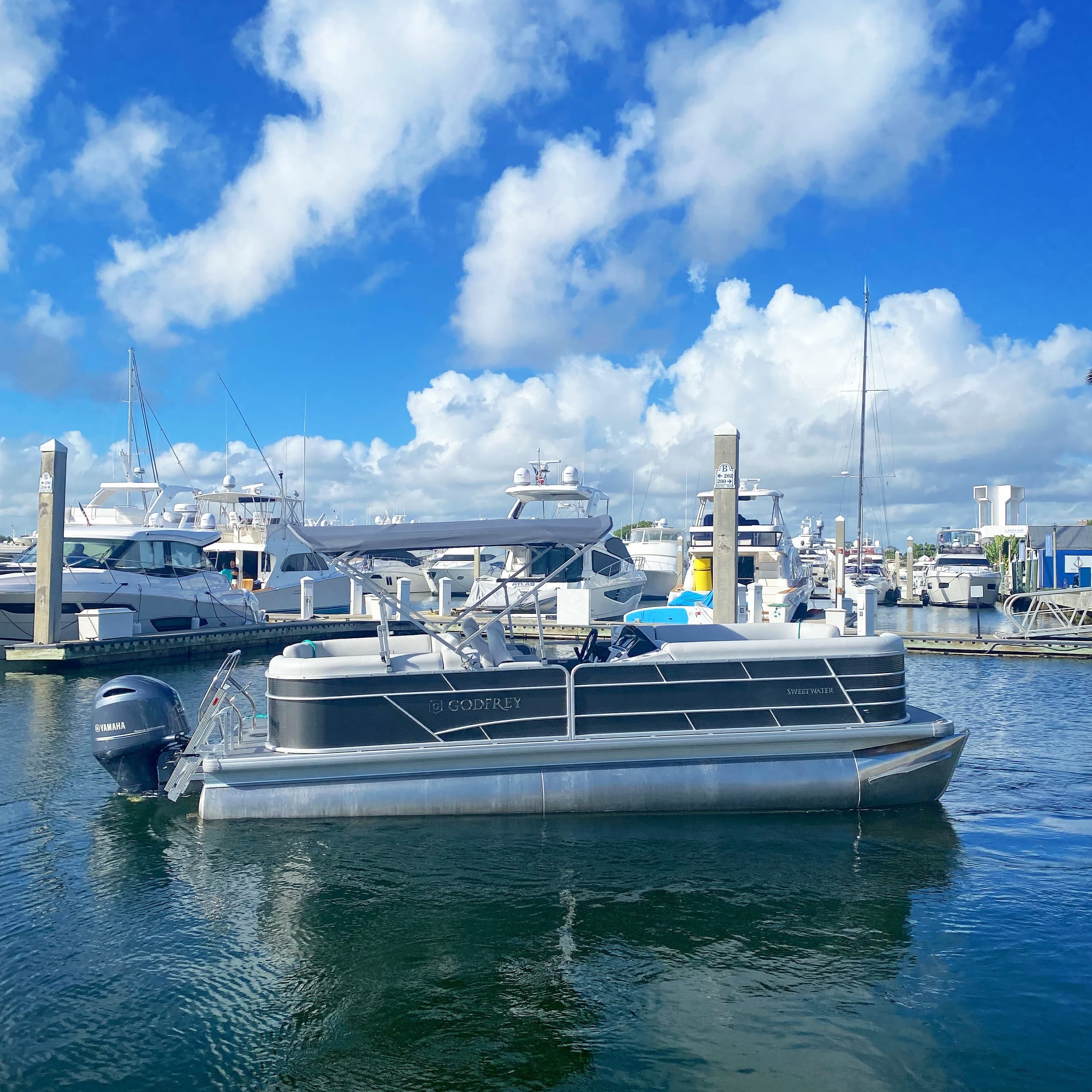 24' Pineapple Express: Pontoon