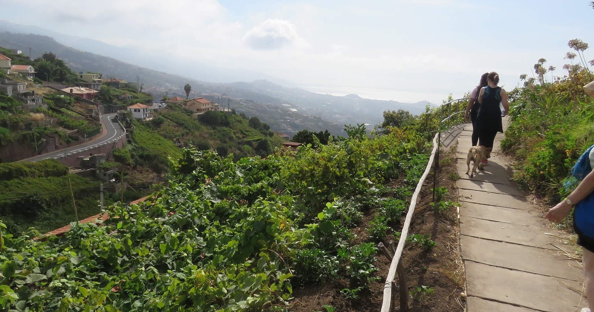 Levada do Estreito