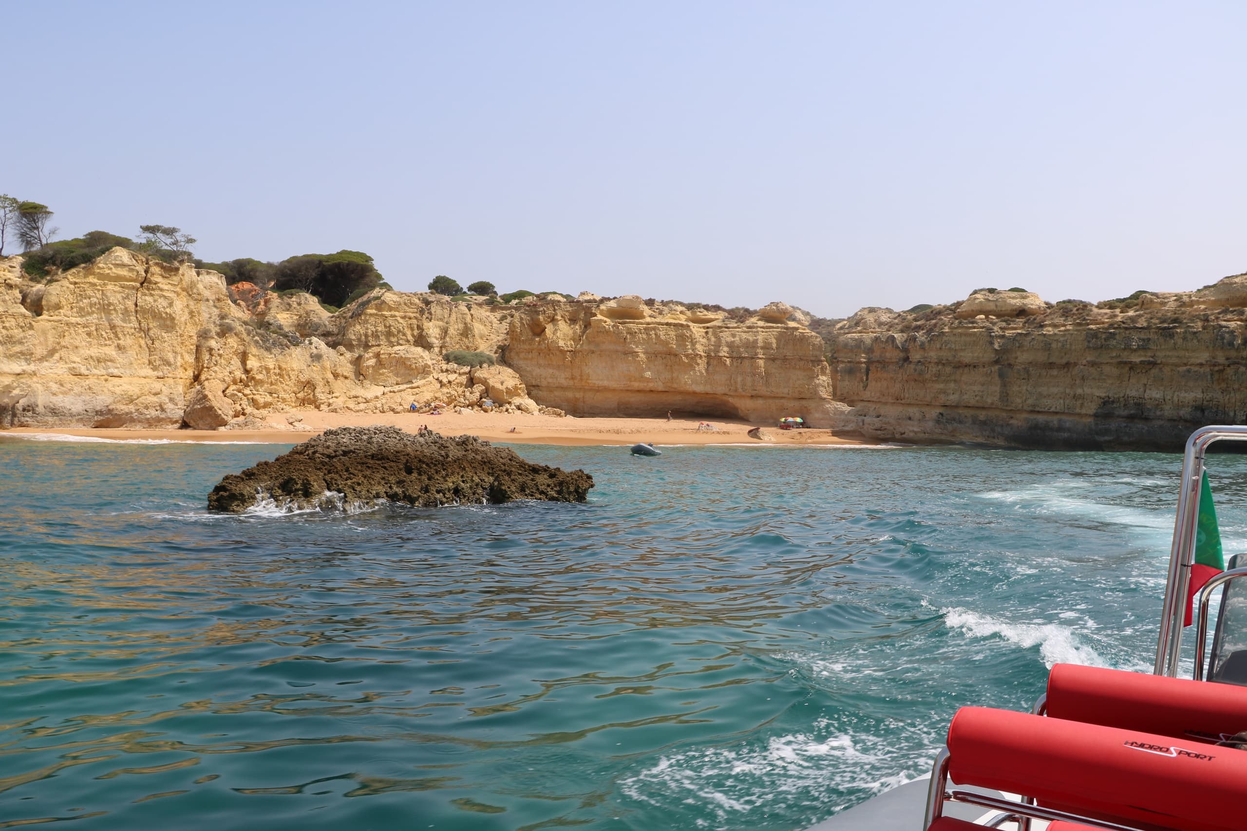 Dolphins Safari & Benagil & Beach BBQ