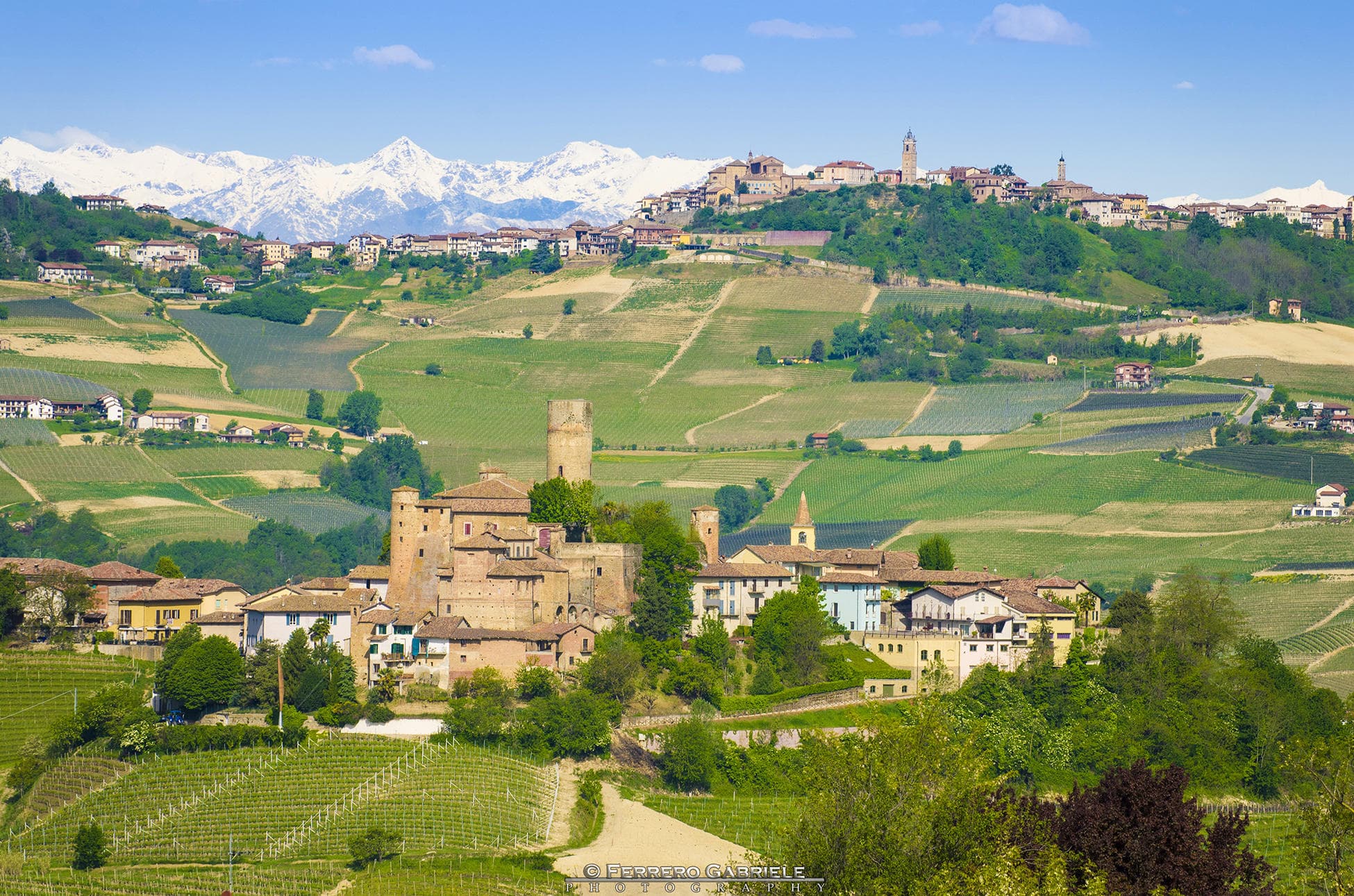 Tour di Barolo e Barbaresco con un Produttore
