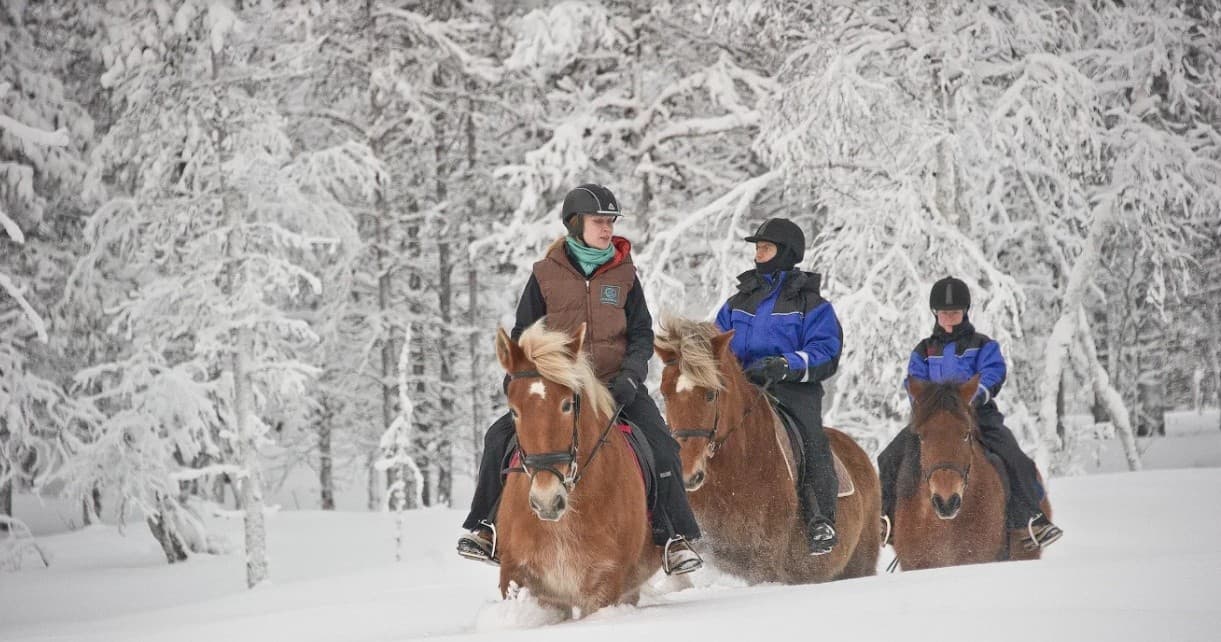 Horseback Riding