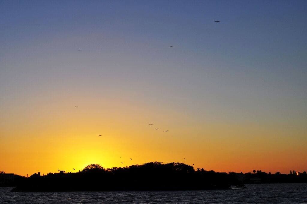 Sunset Dolphin Cruise Fort Myers Beach