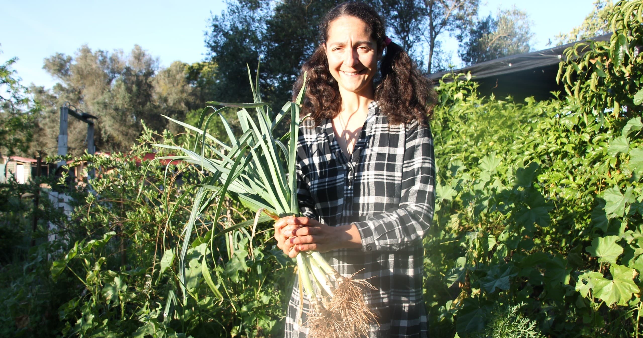Algarve Permaculture Experience