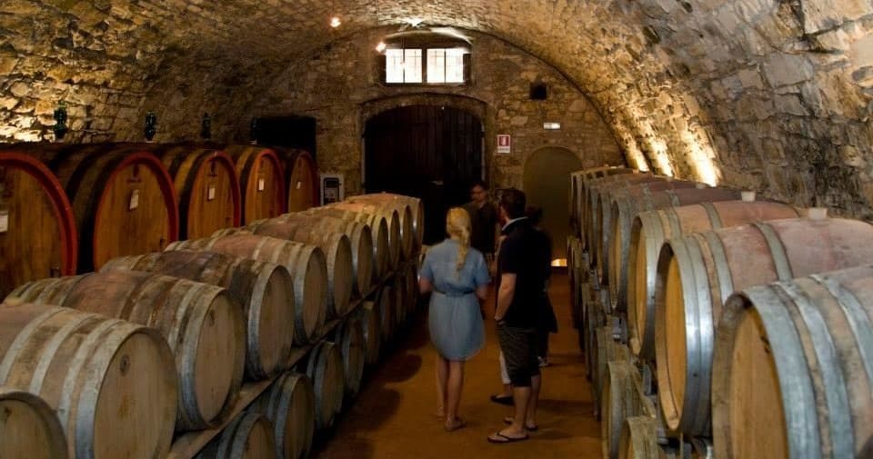 Pisa And Supertuscan Wine Tour In Bolgheri Area