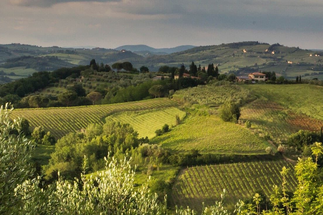 Tuscany Truffle Hunt: A Culinary Adventure