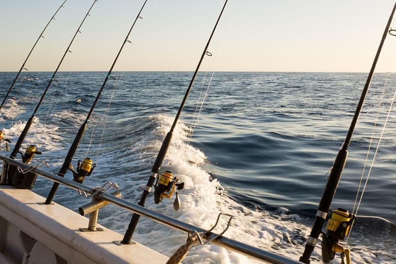Half Day Fishing Charter