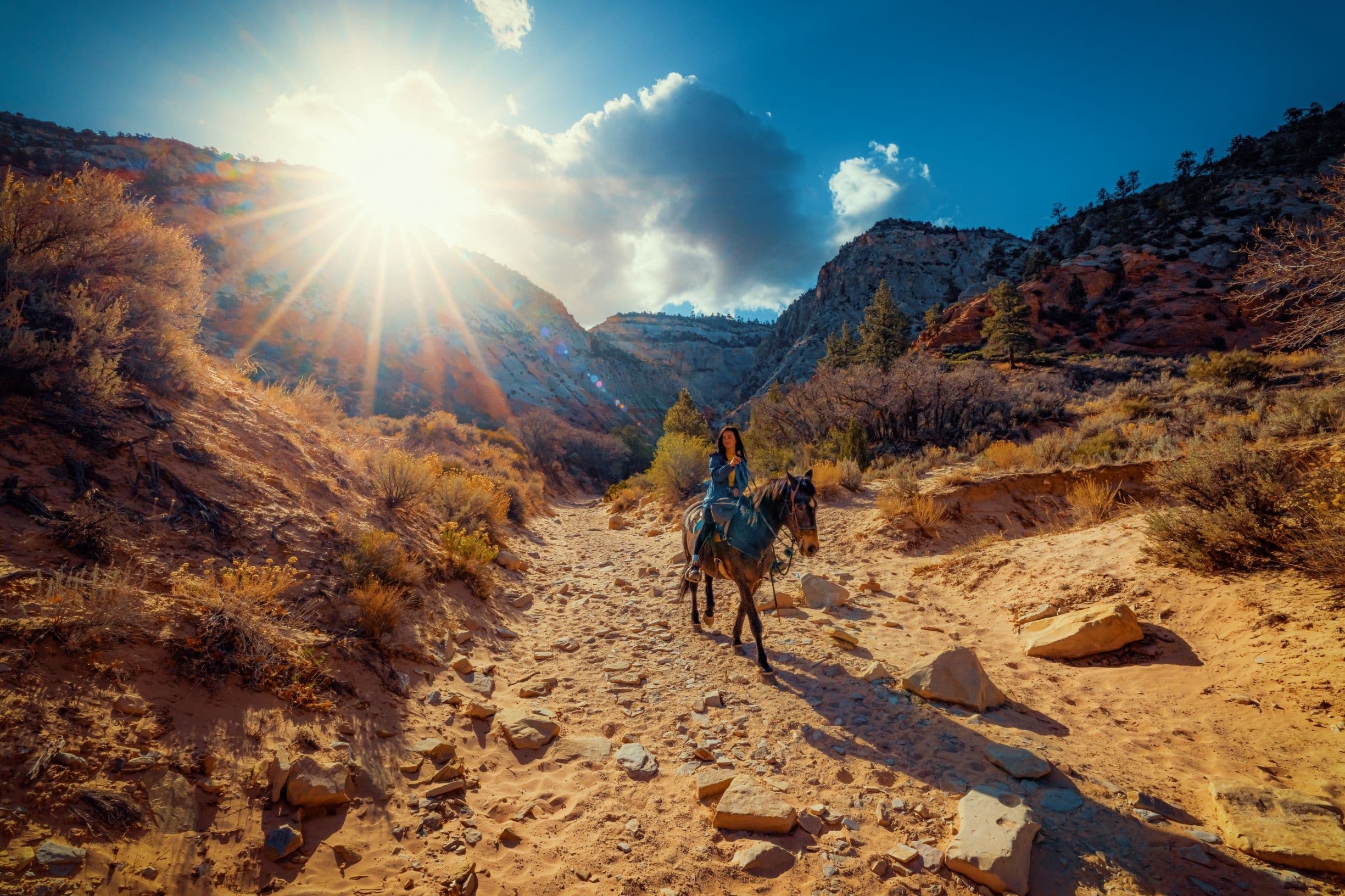 White Sands Sunset Horseback Ride