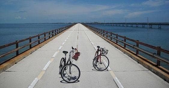 Adult Cruiser - Casa Marina