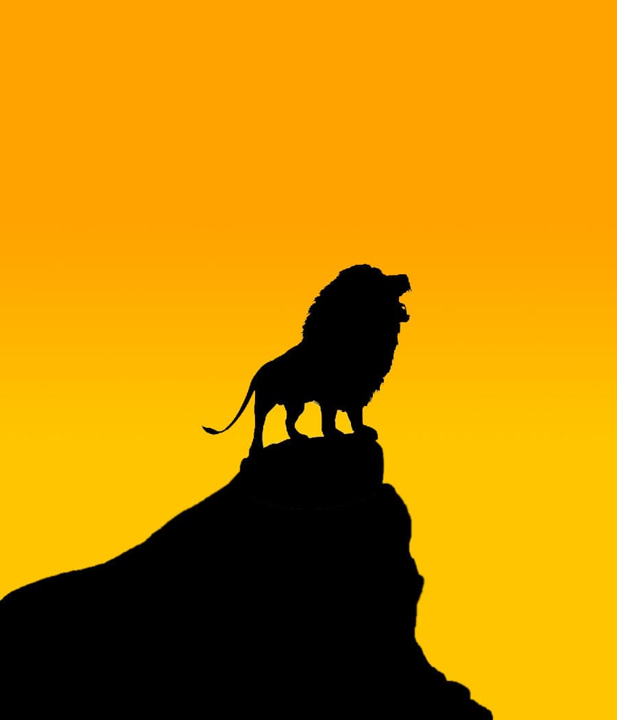 Lion Tour - Cromwell