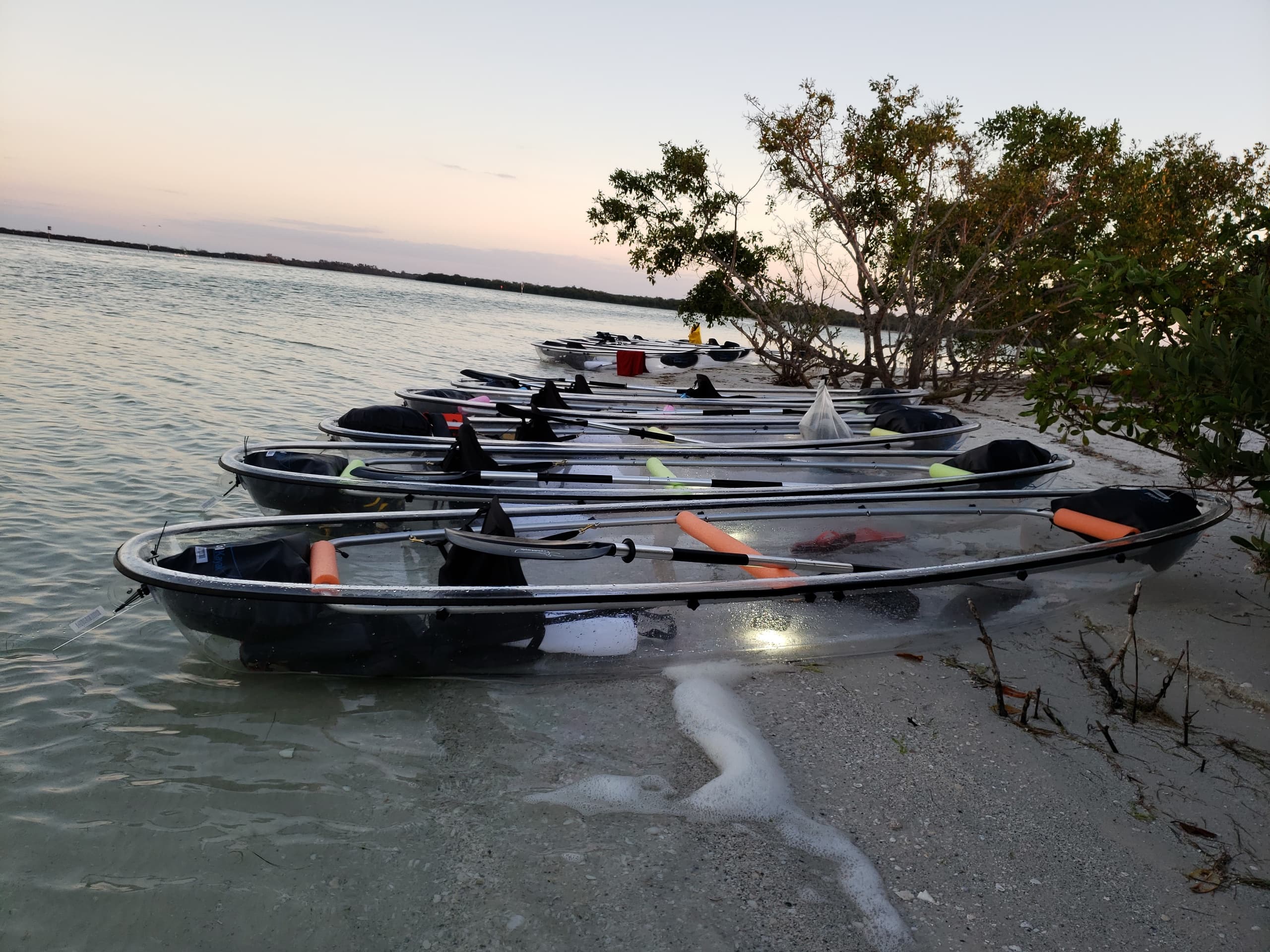 Clear Kayak Tour to Shell Key