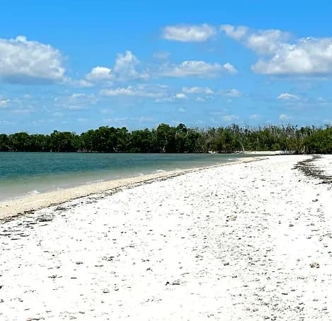 Beach and Shelling Excursion • Private