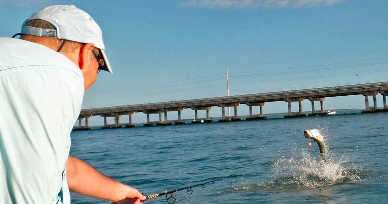 Four Hour Afternoon Tarpon Charter