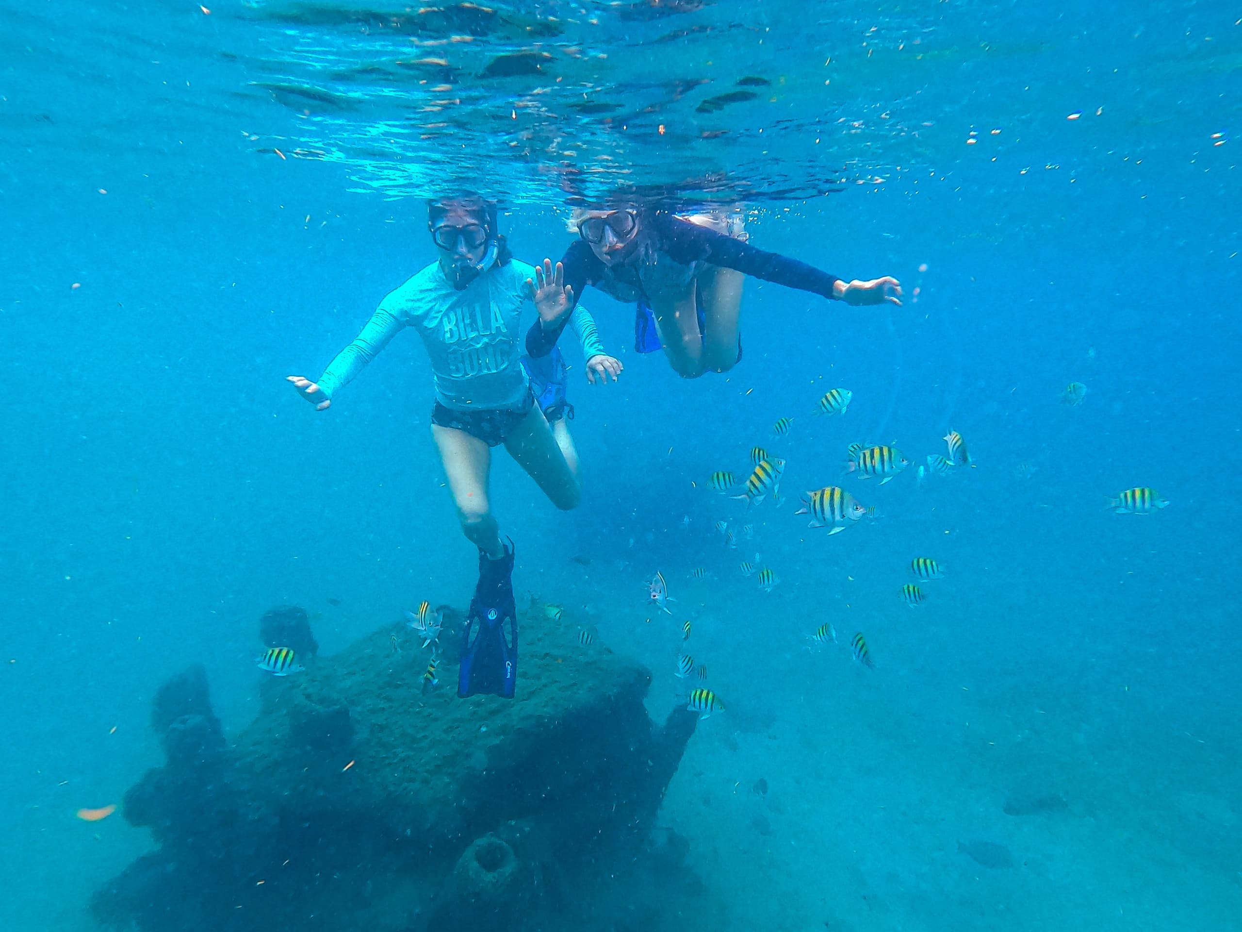 Guided Snorkel Tour - Blue Heron Bridge