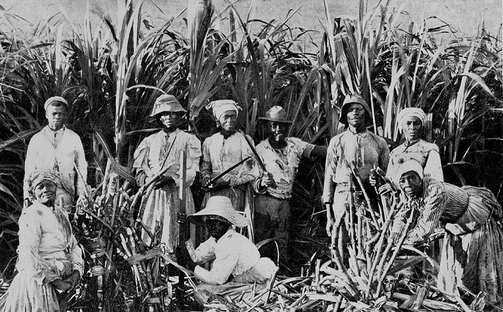 Esclavos y Negreros