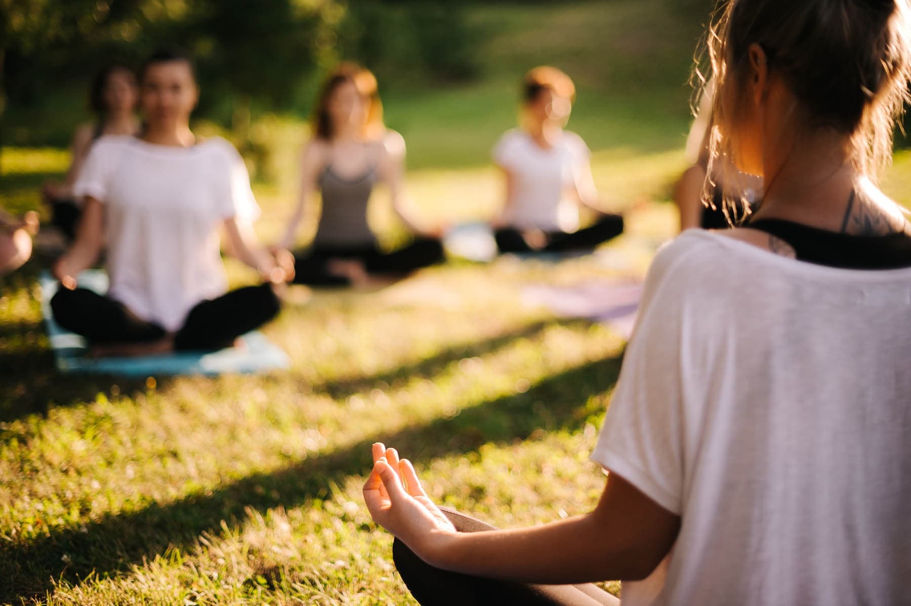 Olive Grove Serenity: A Yoga & Picnic Experience